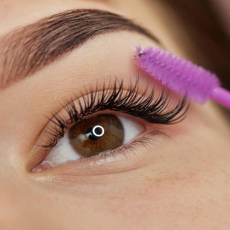 Lashes & Brows